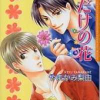  ����� Anata Wa Boku Dake No Hana <small>Story & Art</small> 
